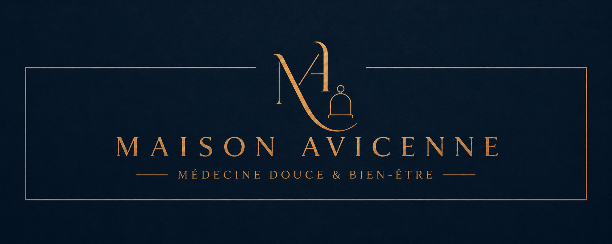 Cover photo for MAISONS AVICENNE / INSTITUT EDEN